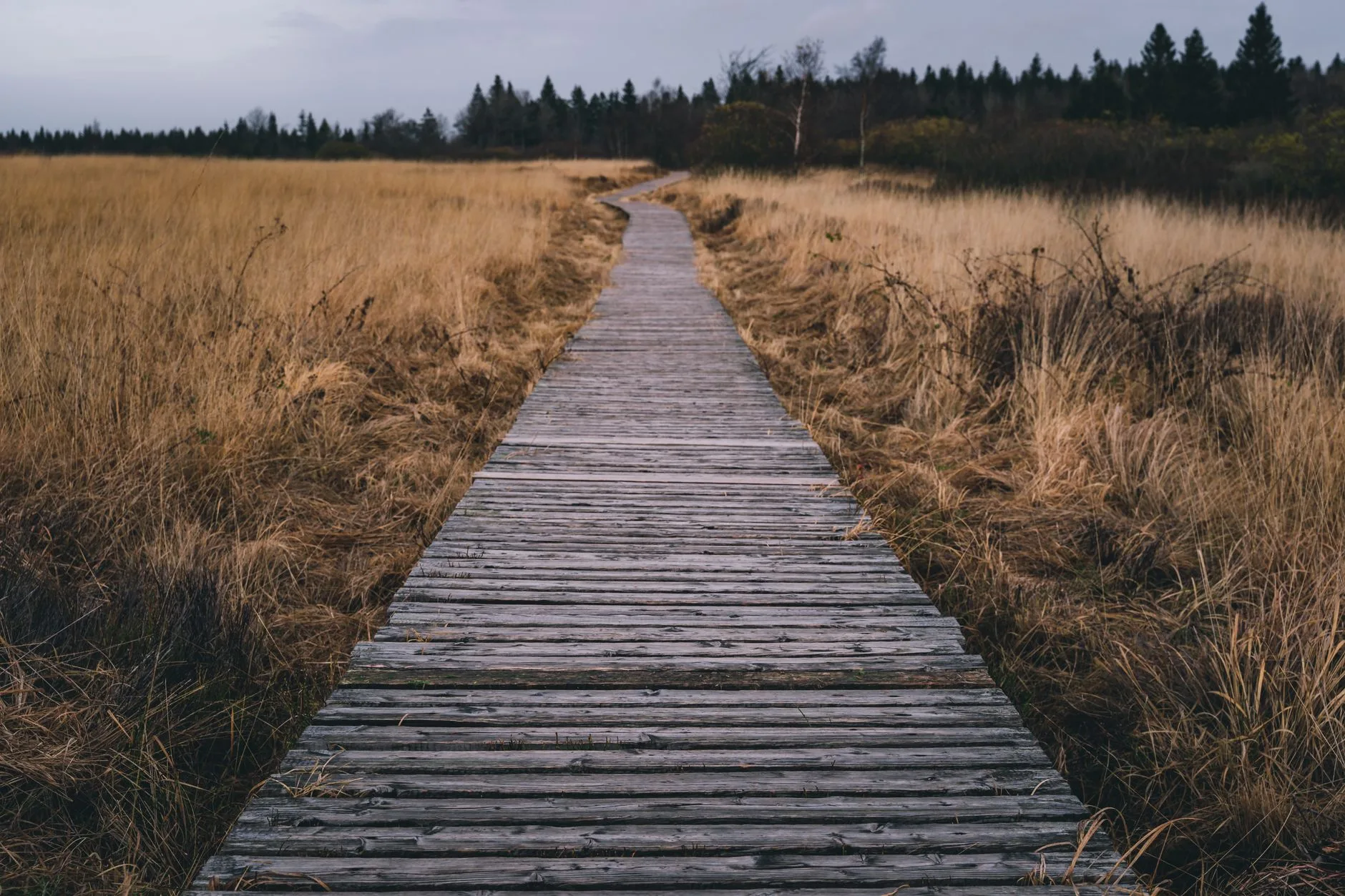 Walking Pad bei schlechtem Wetter: Die beste Alternative für Bewegung drinnen